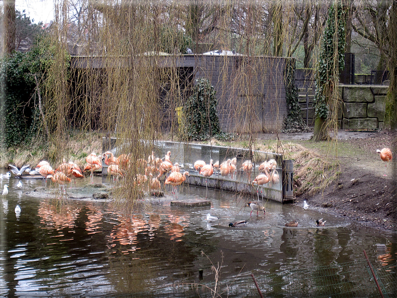 foto Amsterdam